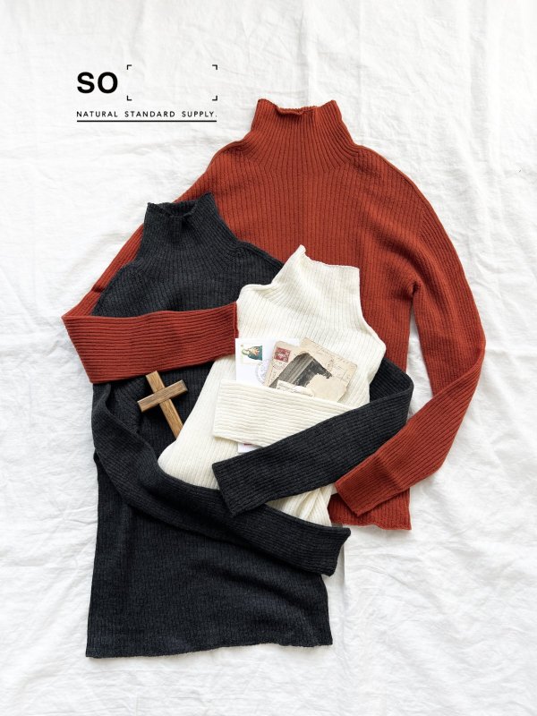 画像1: SO／ウールタートルテレコカットソー (1)