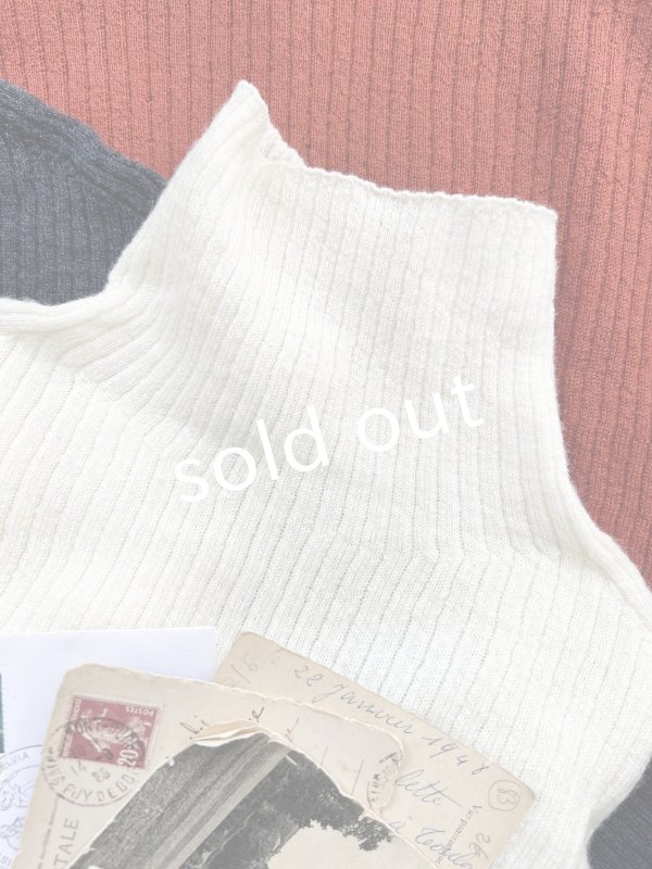 画像3: 【SALE】SO／ウールタートルテレコカットソー (3)