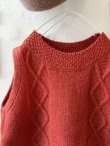 画像3: SO／後ろボタンニットベスト・ブラッドレッド (3)