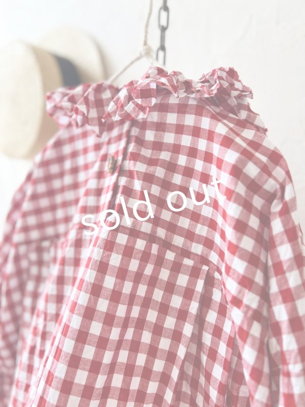 画像9: MARCHE' DE SOEUR／フローフリルブラウス・赤ギンガム (9)