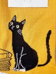 画像6: from F miau／ねこたちのソックス (6)